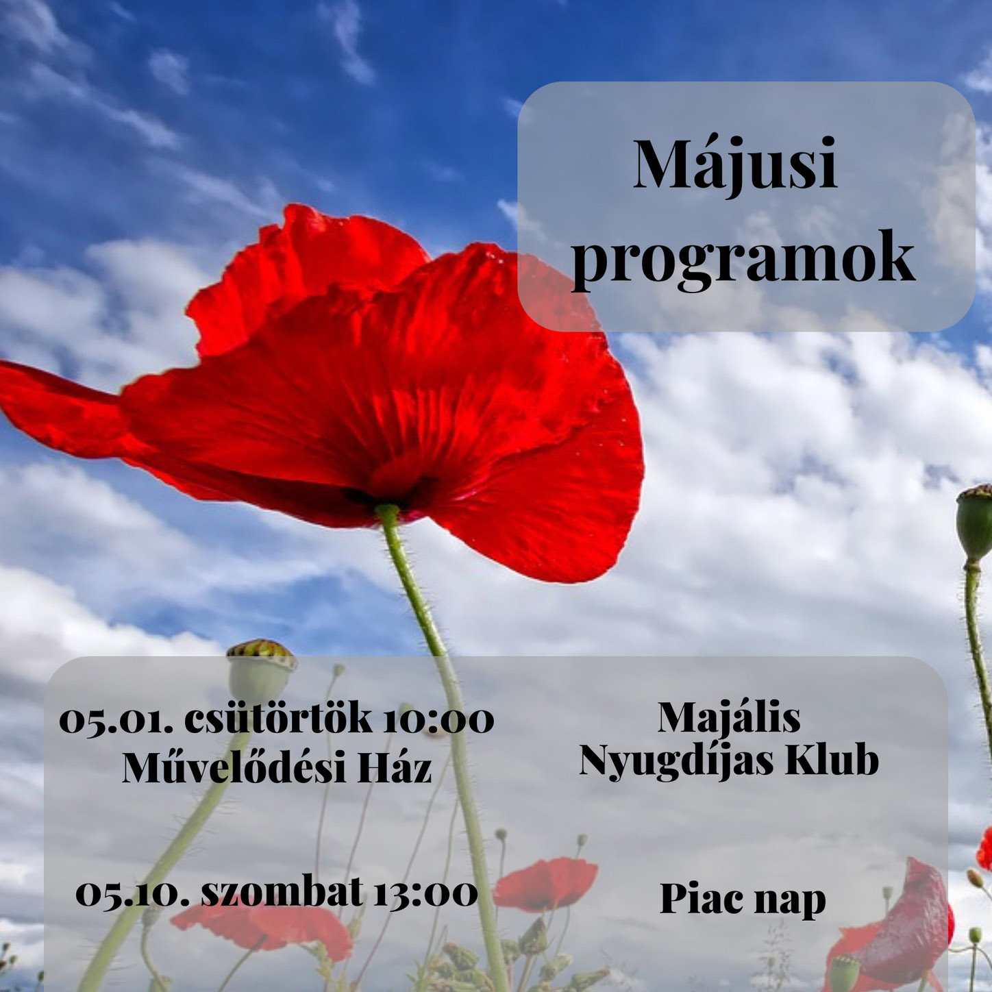 Májusi programok