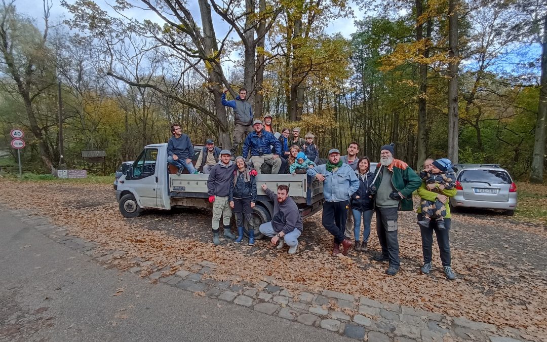 Megint kimentünk, megint találtunk – Szemétszedés