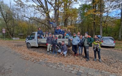 Megint kimentünk, megint találtunk – Szemétszedés