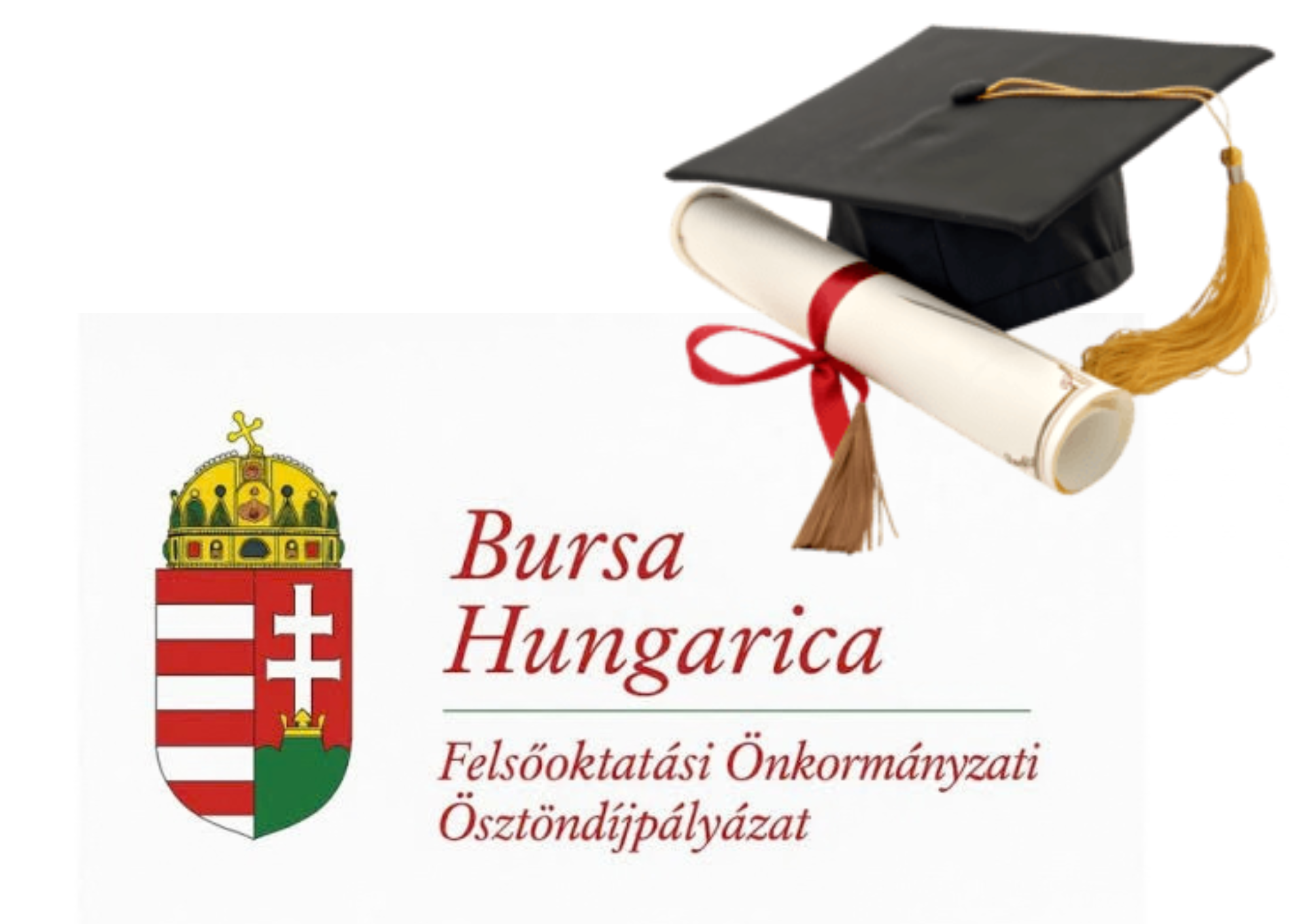 Névtelen terv(44)